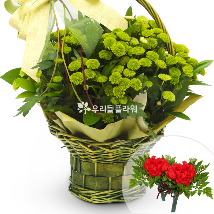 상세이미지