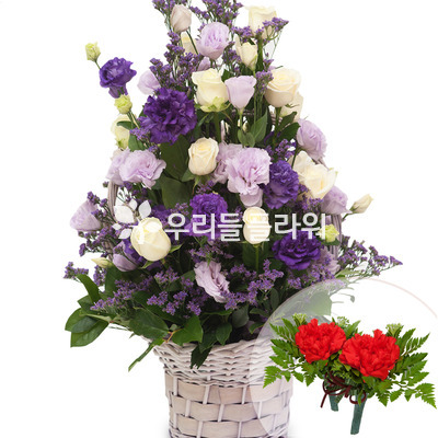보라혼합바구니