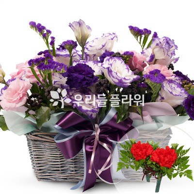 포도색바구니