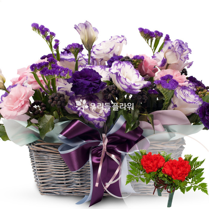 상세이미지