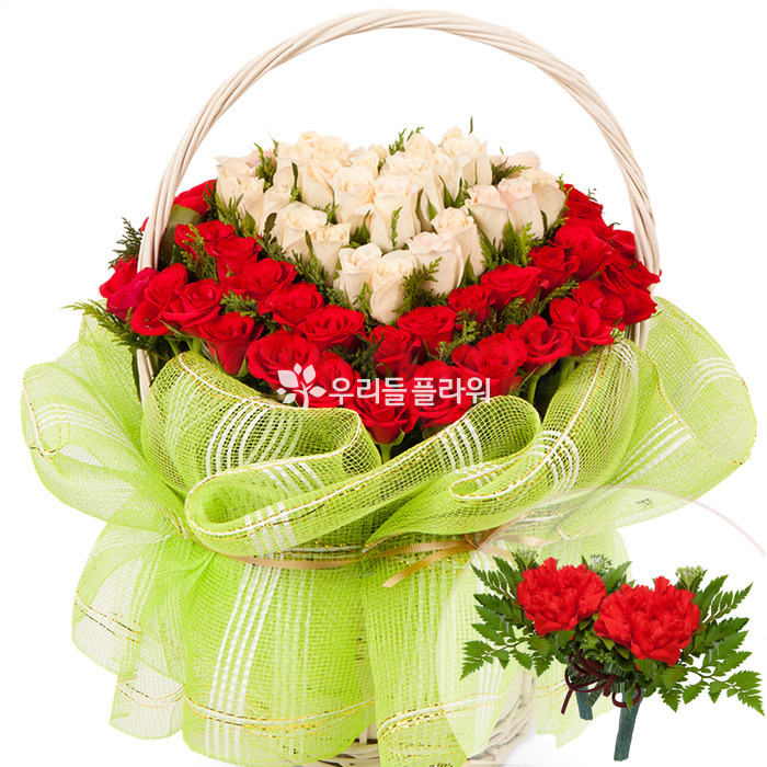 상세이미지