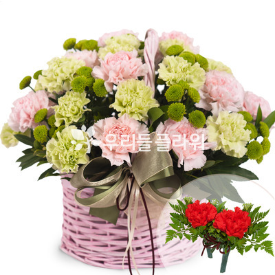 건강하세요!! (코사지무료)