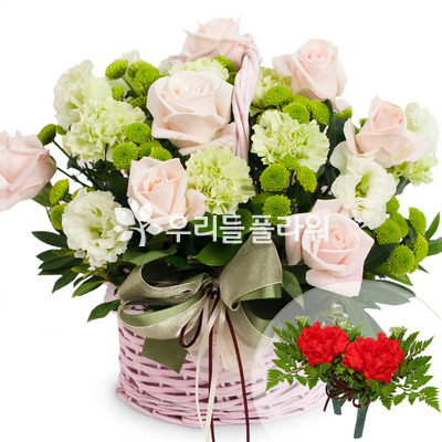카네이션 장미바구니