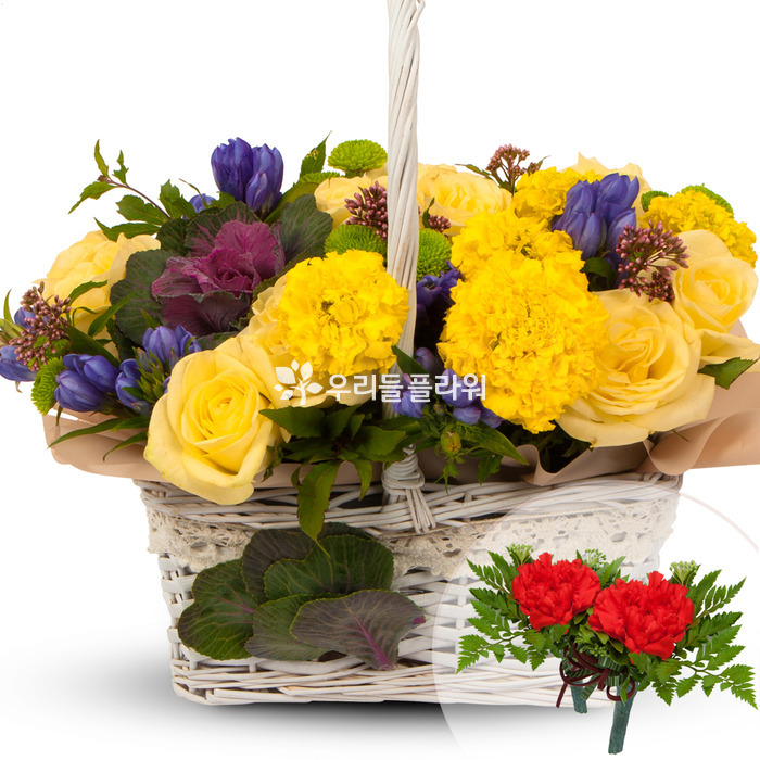 상세이미지