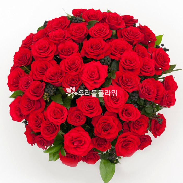 상세이미지