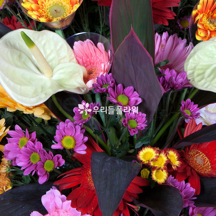 상세이미지