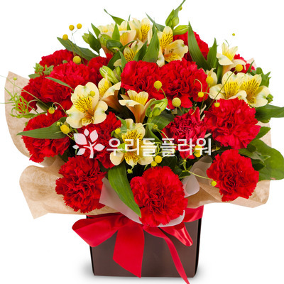 레드톤종이박스