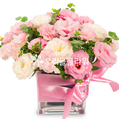 유리화기_리시안핑크
