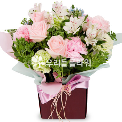 박스디자인
