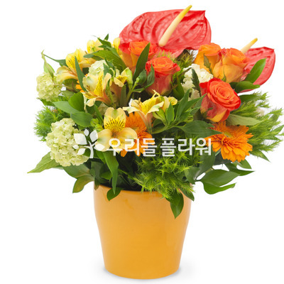 화병디자인_오렌지