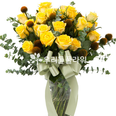 노랑장미화병