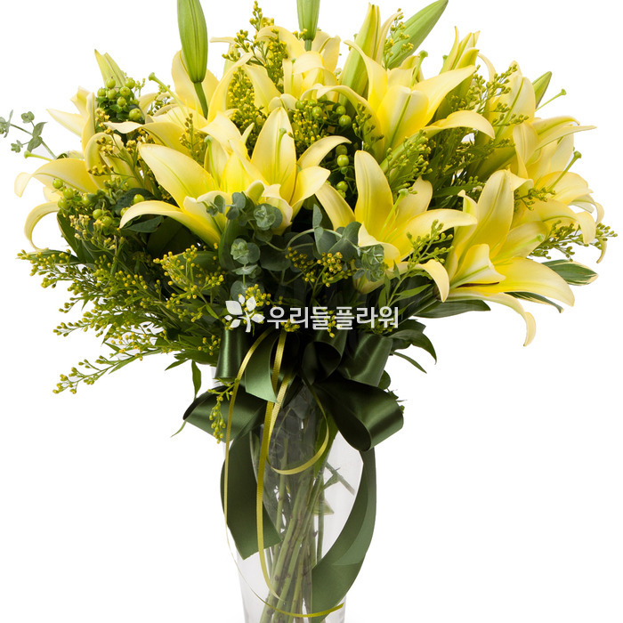 상세이미지