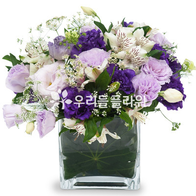 유리화기혼합디자인2