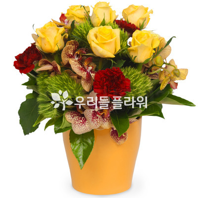 화기꽃이