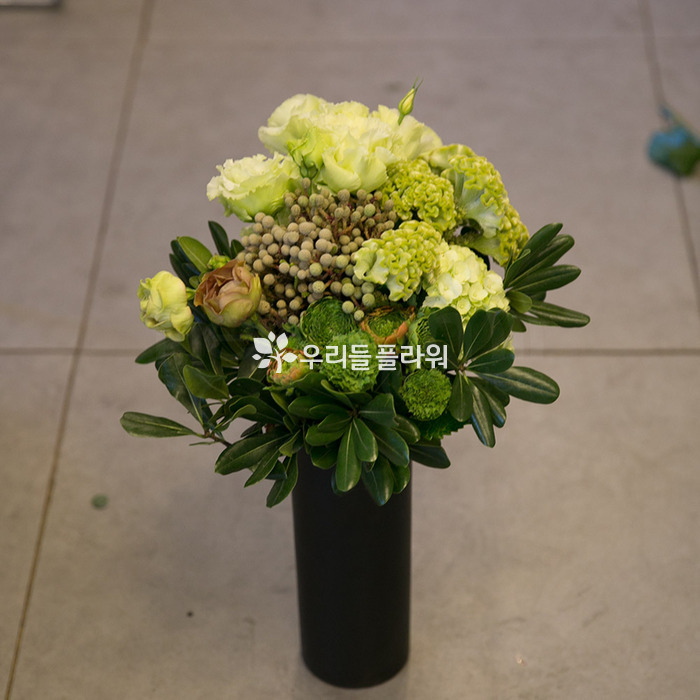 상세이미지