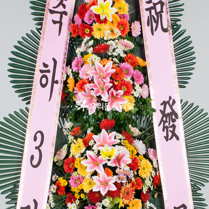 상세이미지