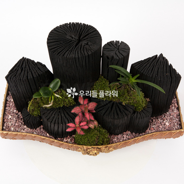 상세이미지