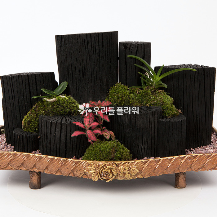 상세이미지