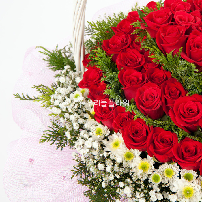 상세이미지