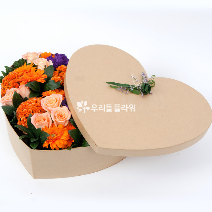 상세이미지