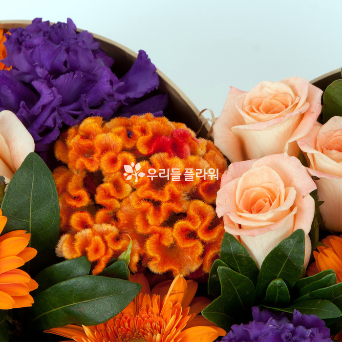 상세이미지
