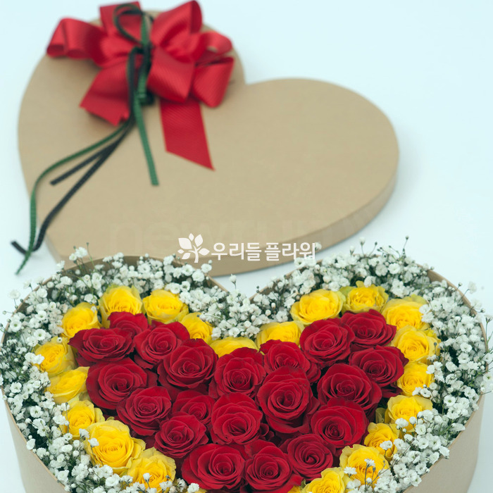 상세이미지
