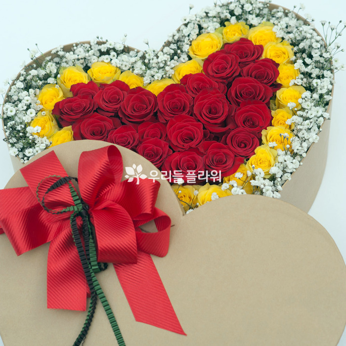 상세이미지