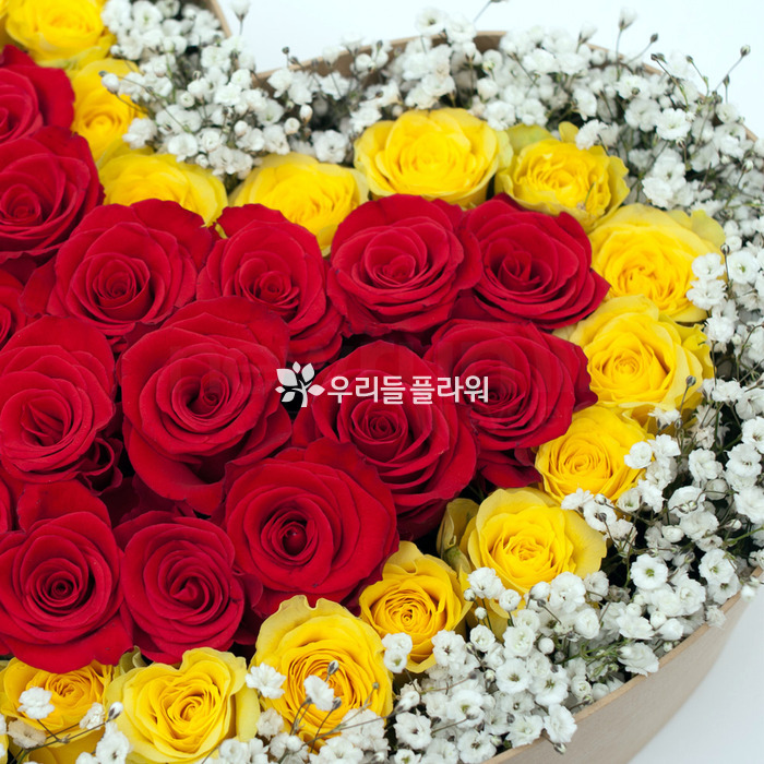 상세이미지