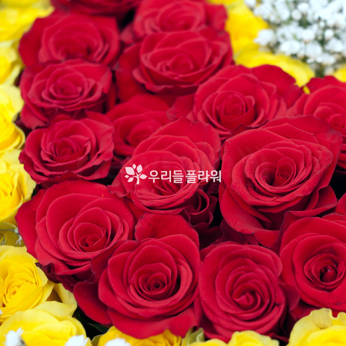상세이미지