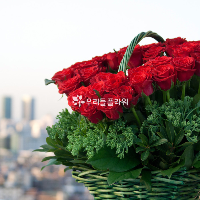 상세이미지