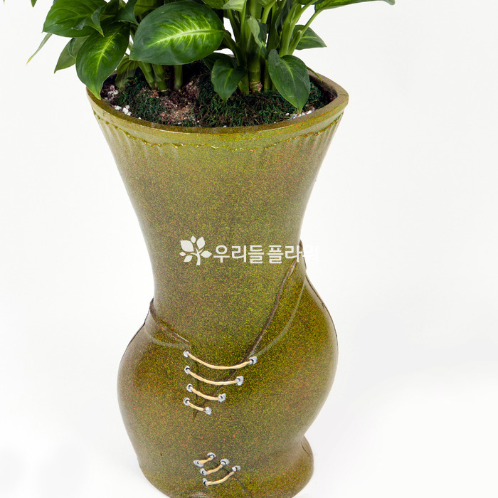 상세이미지