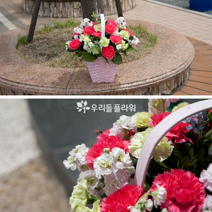 상세이미지