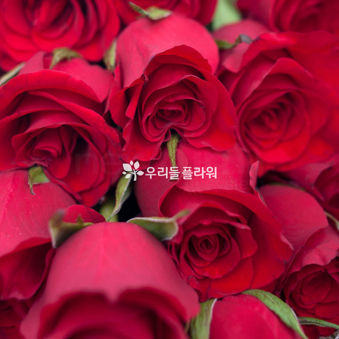 상세이미지