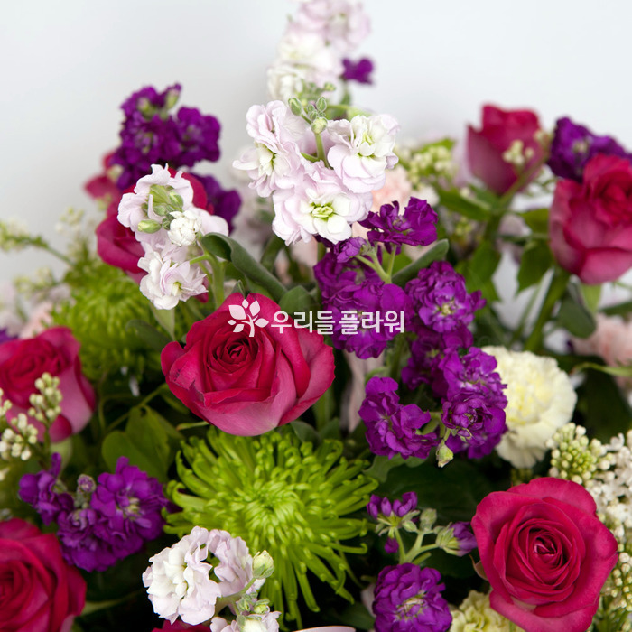 상세이미지