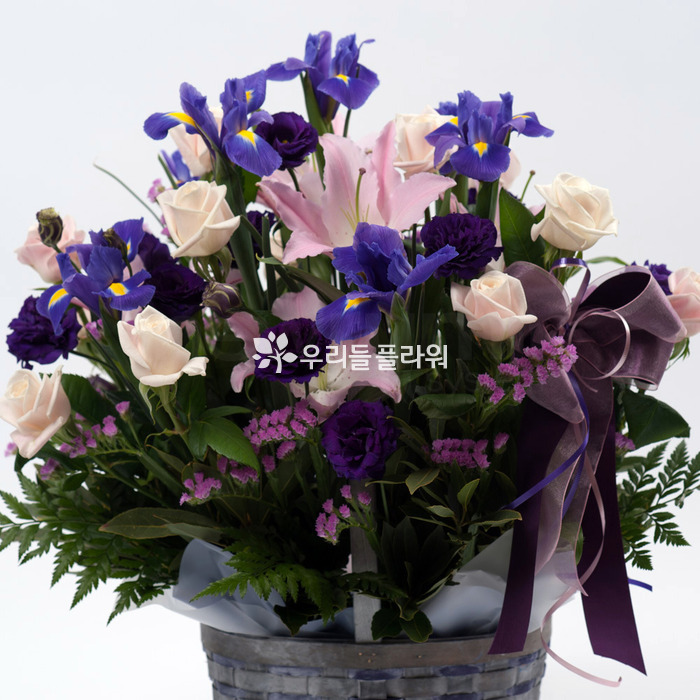 상세이미지