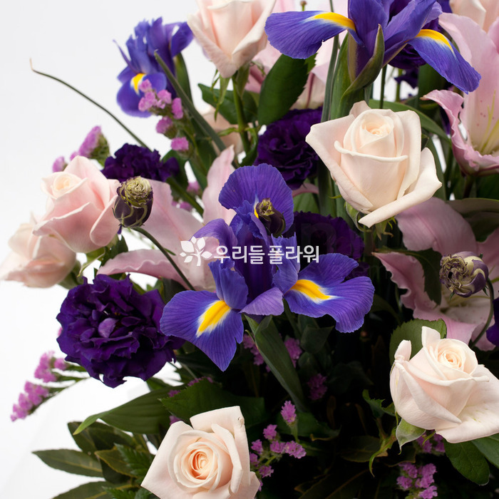 상세이미지
