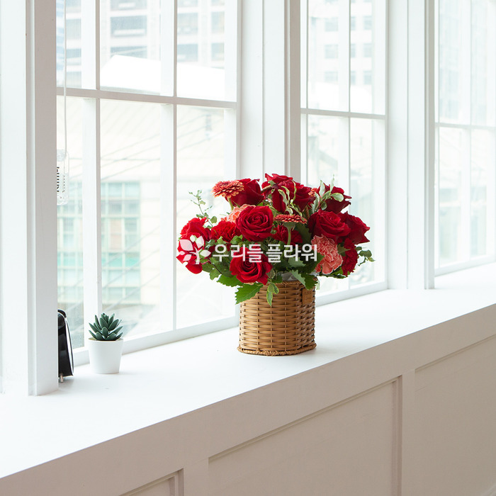 상세이미지