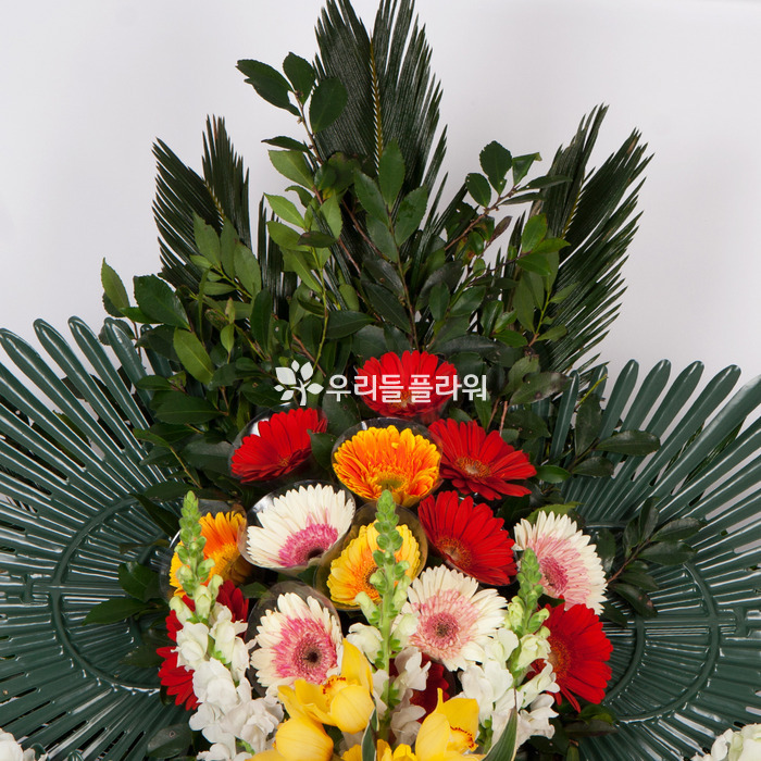 상세이미지