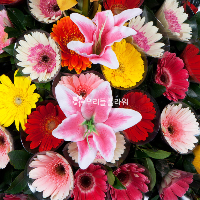 상세이미지