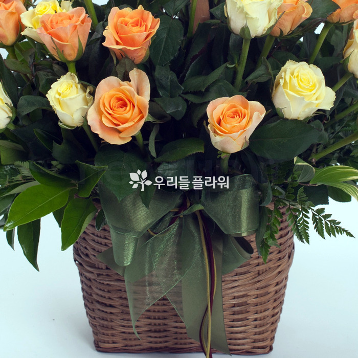 상세이미지