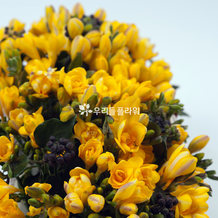 상세이미지