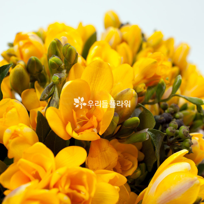 상세이미지