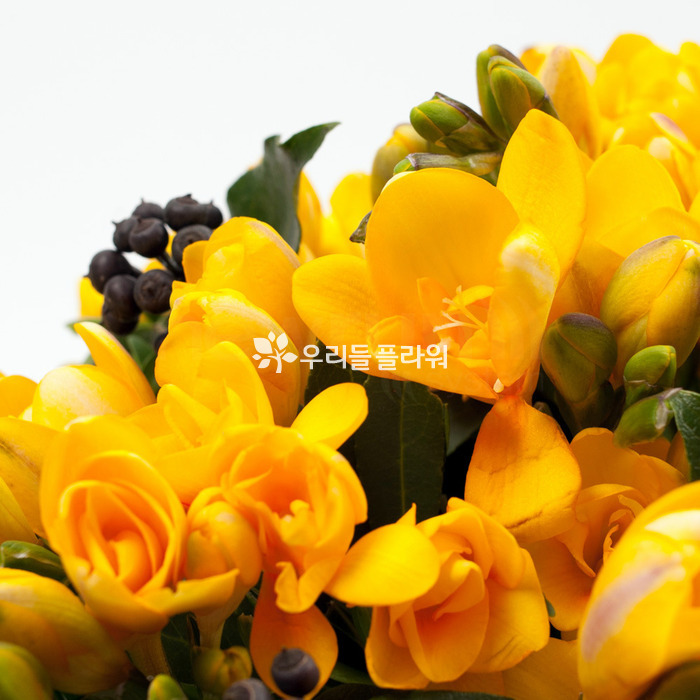 상세이미지