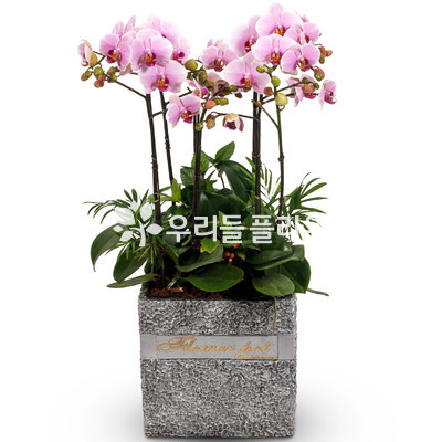 ★웨딩★