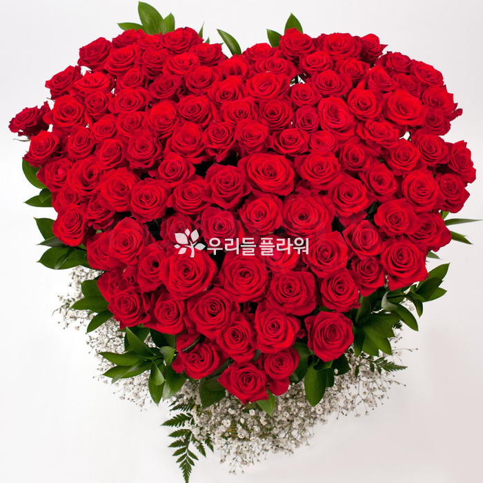 상세이미지