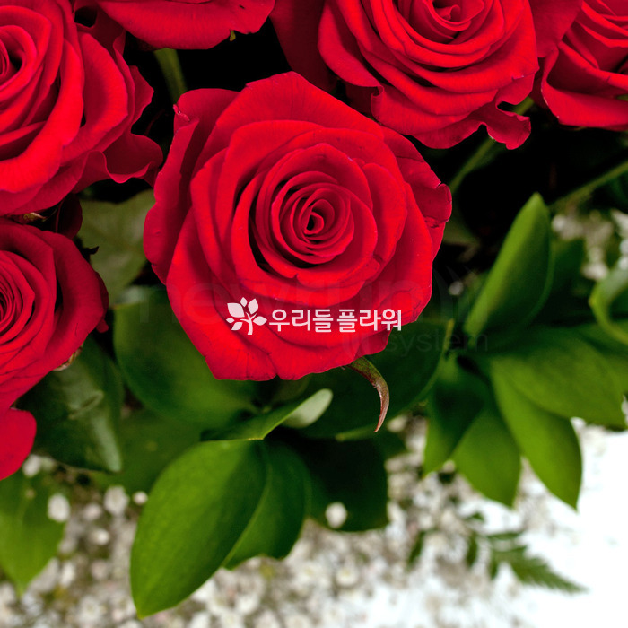상세이미지
