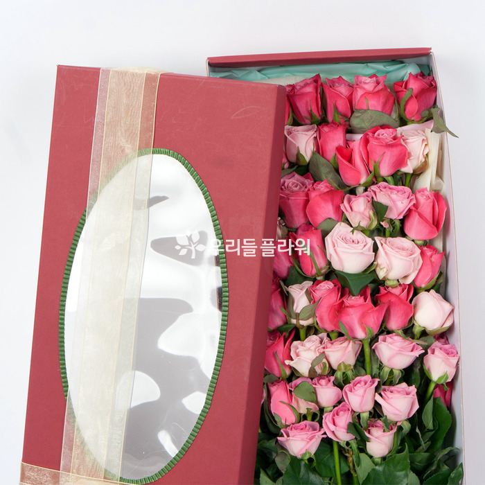 상세이미지