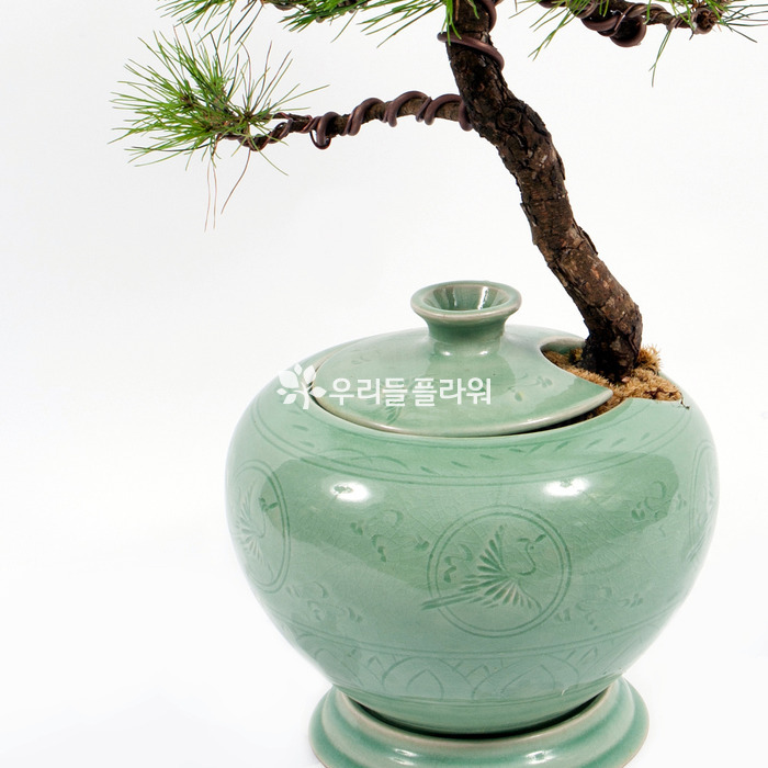 상세이미지