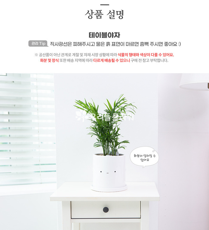 상세이미지