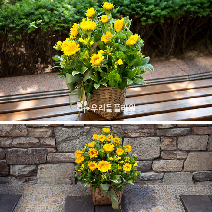 상세이미지
